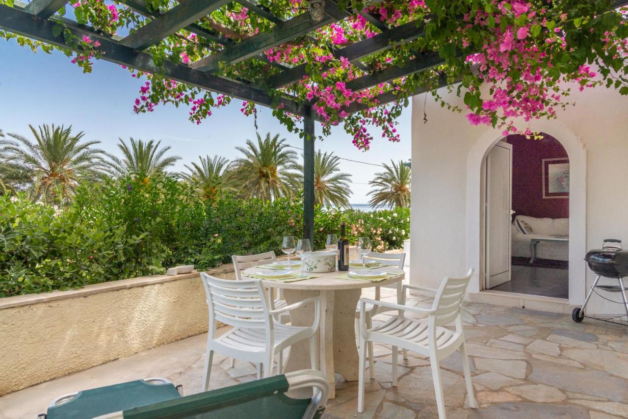 Bougainvillea House In Crete Sitia  Eksteriør billede