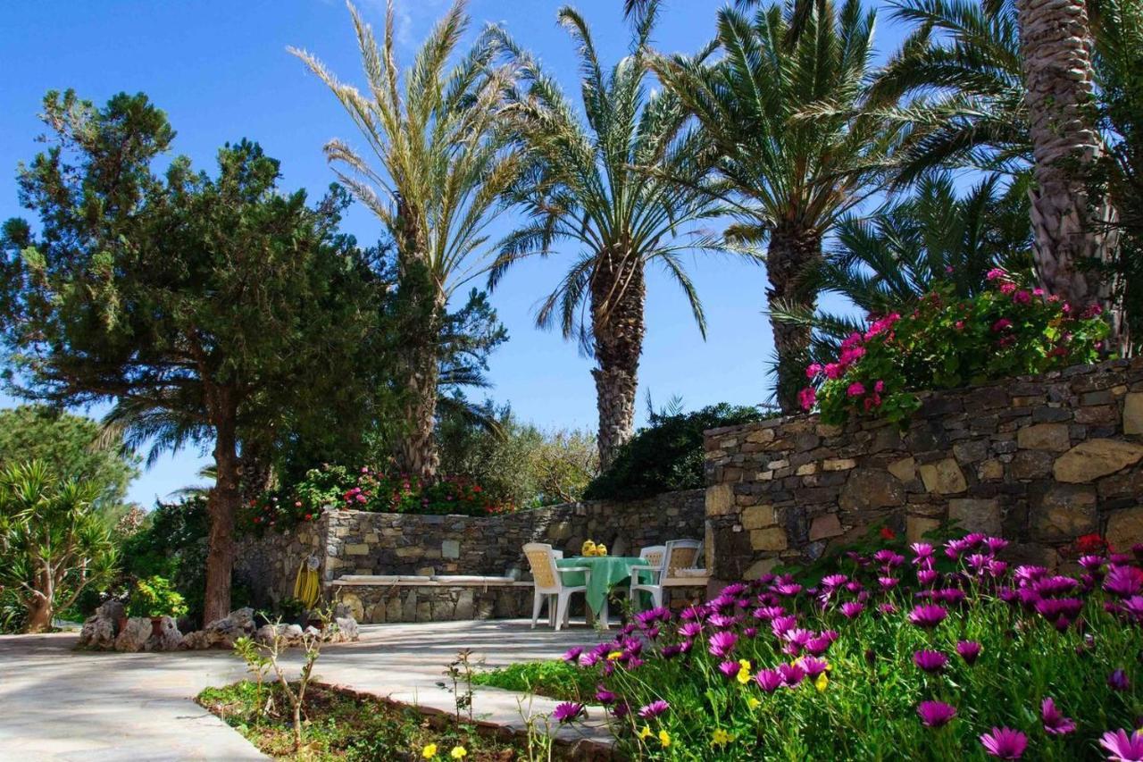 Bougainvillea House In Crete Sitia  Eksteriør billede